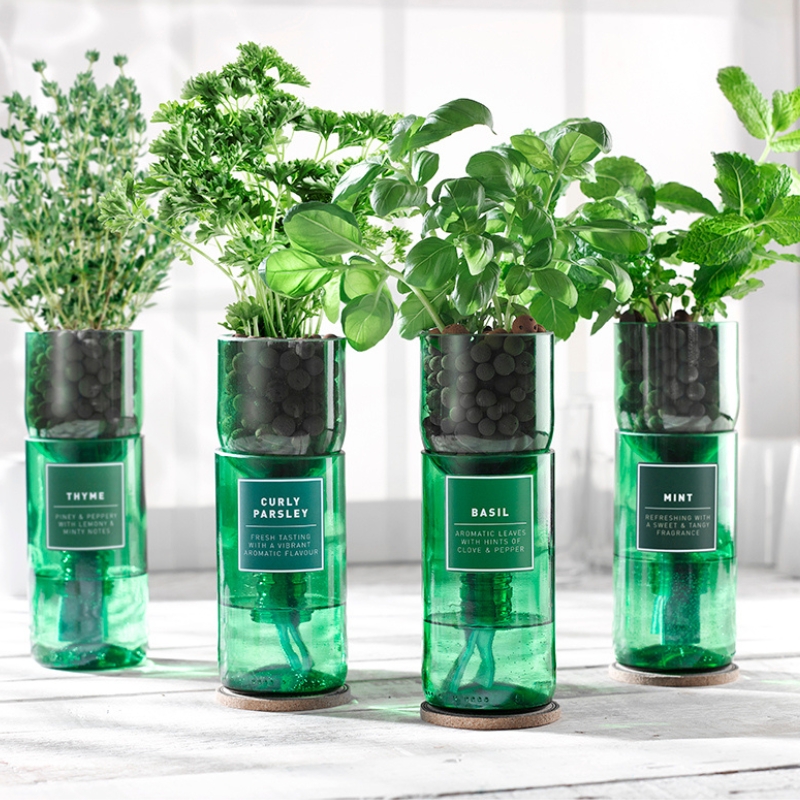 Grow your own herbs | Hydro Herbs | Lighting Company UK