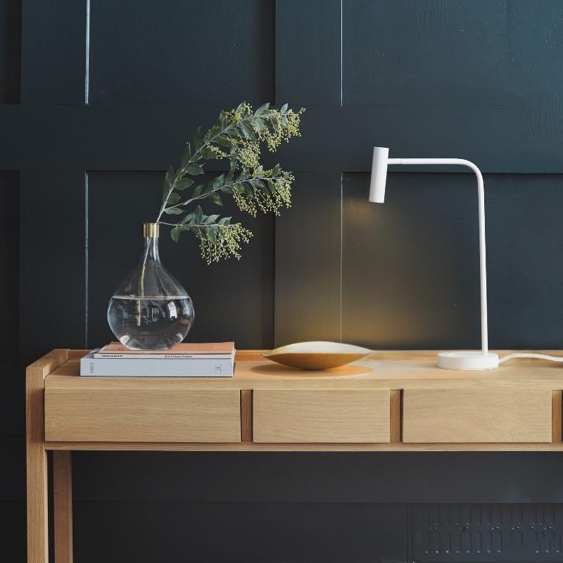 A pot plant on a table with a book and desk lamp.