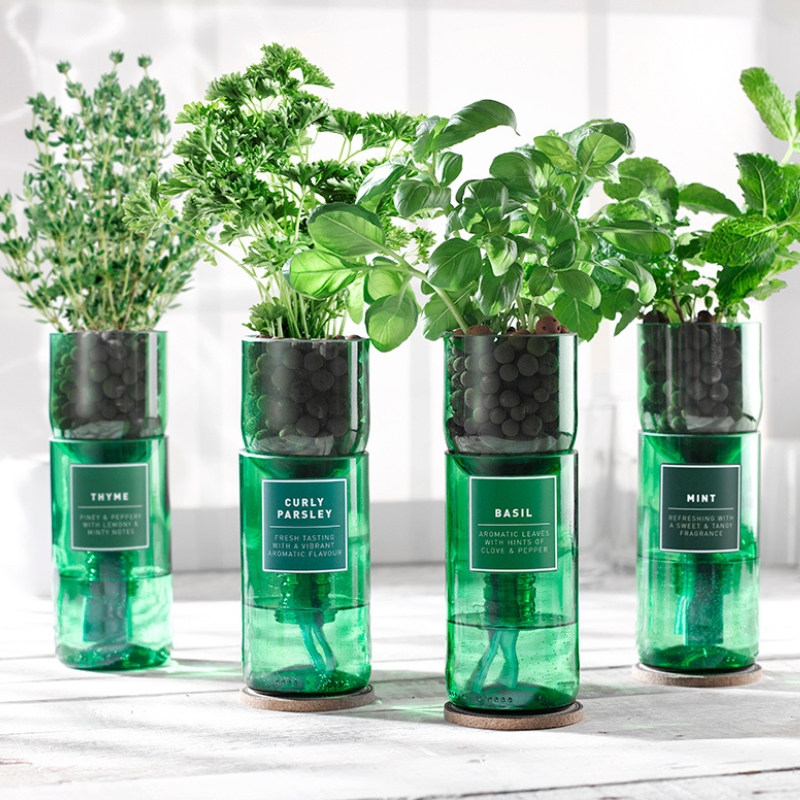 Grow your own Herb Garden | Lighting Company UK
