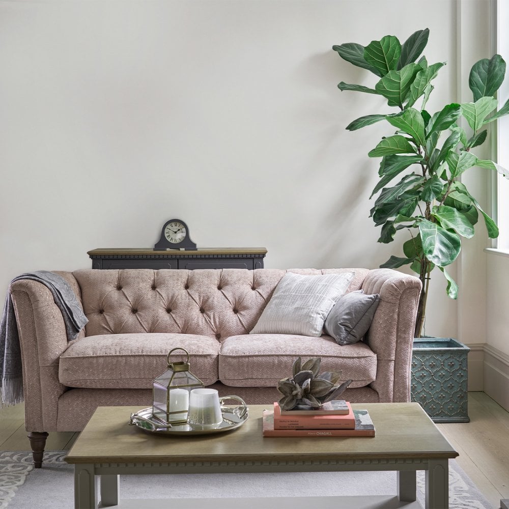 front room with sofa, coffee table and pot plant