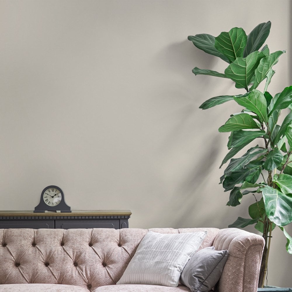 Buy Laura Ashley Paint