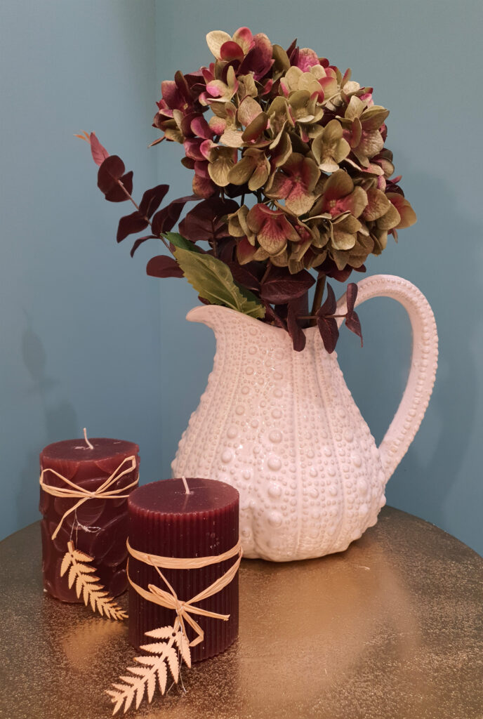 Plants and Flowers
