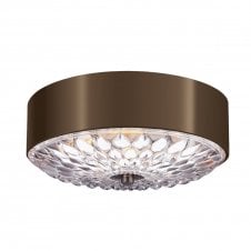 BOTANIC flush fit decorative ceiling light in dark brass with clear pressed glass (small)