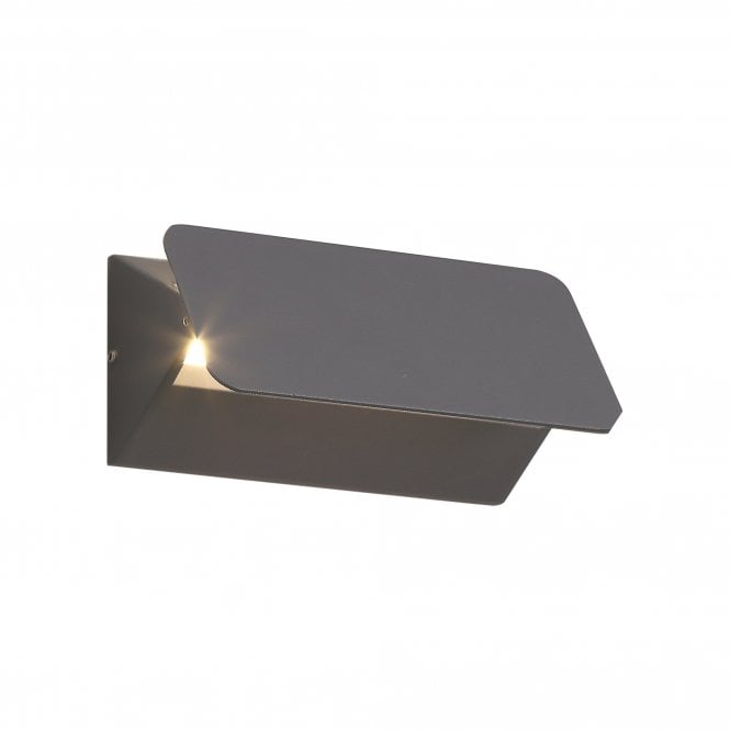 CARA outdoor LED wall washer light in anthracite with adjustable shade with 3 year warranty