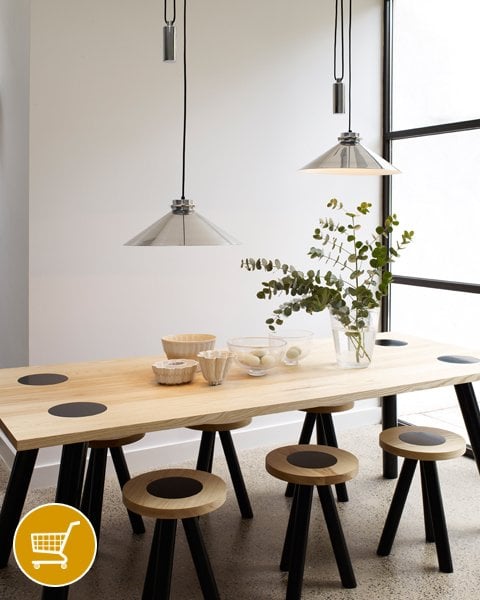 rise and fall ceiling pendants