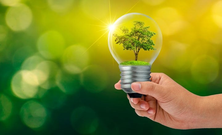 Sustainable Bulb with Tree