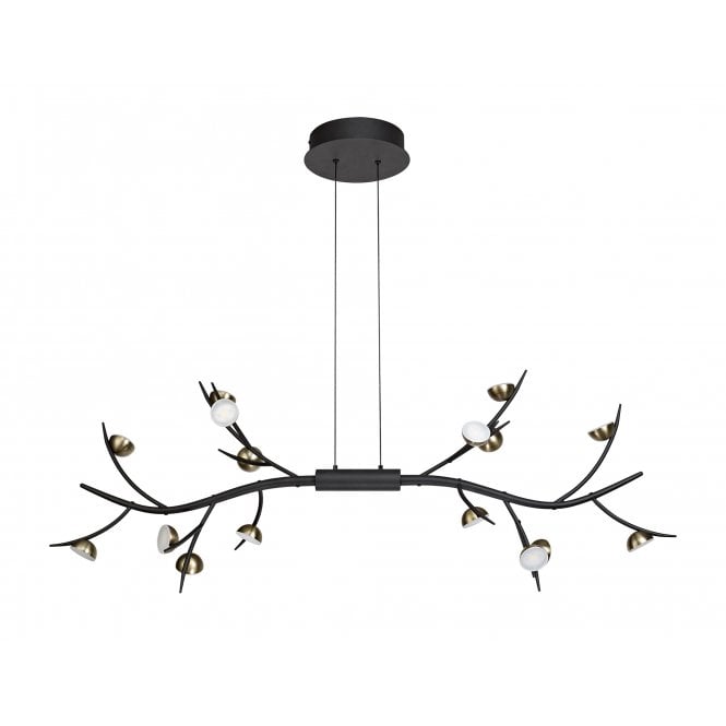 FOREST 16 Light 3W LED Ceiling Pendant Bar 3000K 2640lm Black/Antique Brass with 3 year warranty
