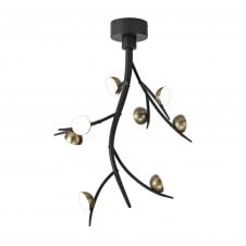 FOREST 8 Light 3W LED Ceiling Light 3000K 1320lm Black/Antique Brass with 3 year warranty