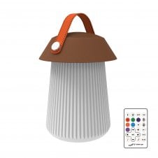 FUNGHI Portable Outdoor Bluetooth Speaker Light Colour Changing with Remote