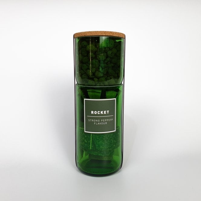 Grow Your Own Rocket | Recycled Wine Bottle | Sustainable