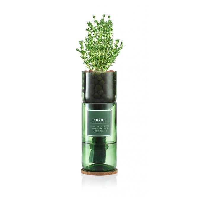Grow Your Own Thyme | Recycled Wine Bottle | Sustainable