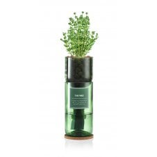Hydro-Herb kit with Thyme sprouting