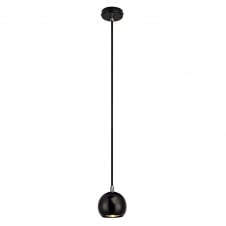 black mini globe ceiling pendant spotlight