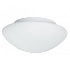 OPAL DOME large flush bathroom ceiling light
