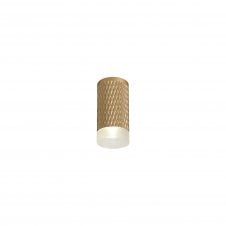 RETROSPOT 1 Light Surface Spotlight in Champagne Gold | Small