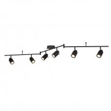 black adjustable 6light spot light