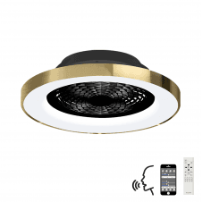 modern black and gold ceiling fan light